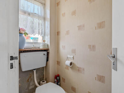 Picture 15
